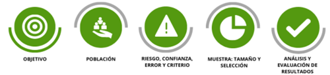 Flujo de trabajo de ForSampling: objetivo, población, riesgo, muestra y análisis
